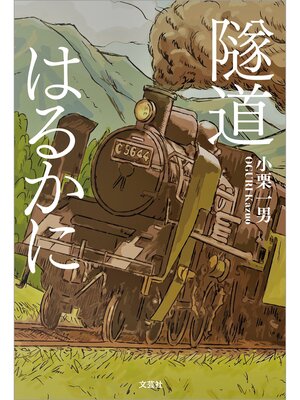 cover image of 隧道はるかに